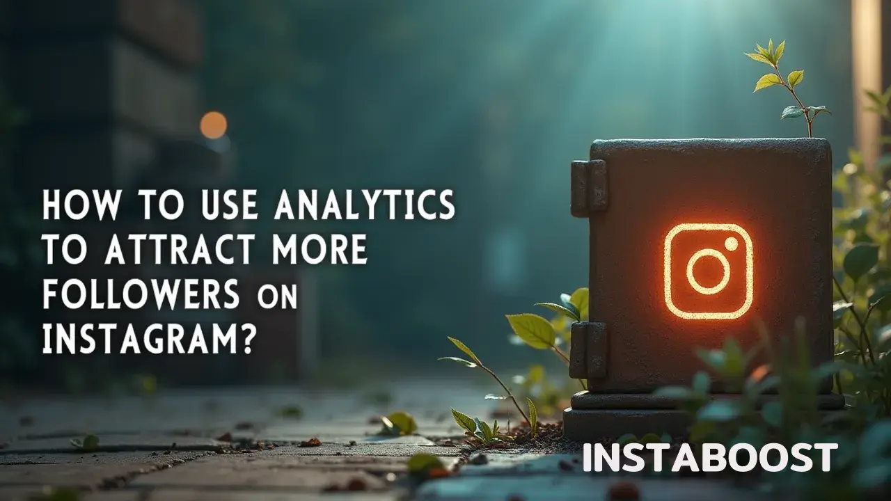 How To Use Analytics To Attract More Organic Followers On Instagram?